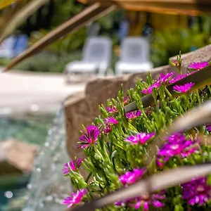 4* Aparthotel Bosco Canoro